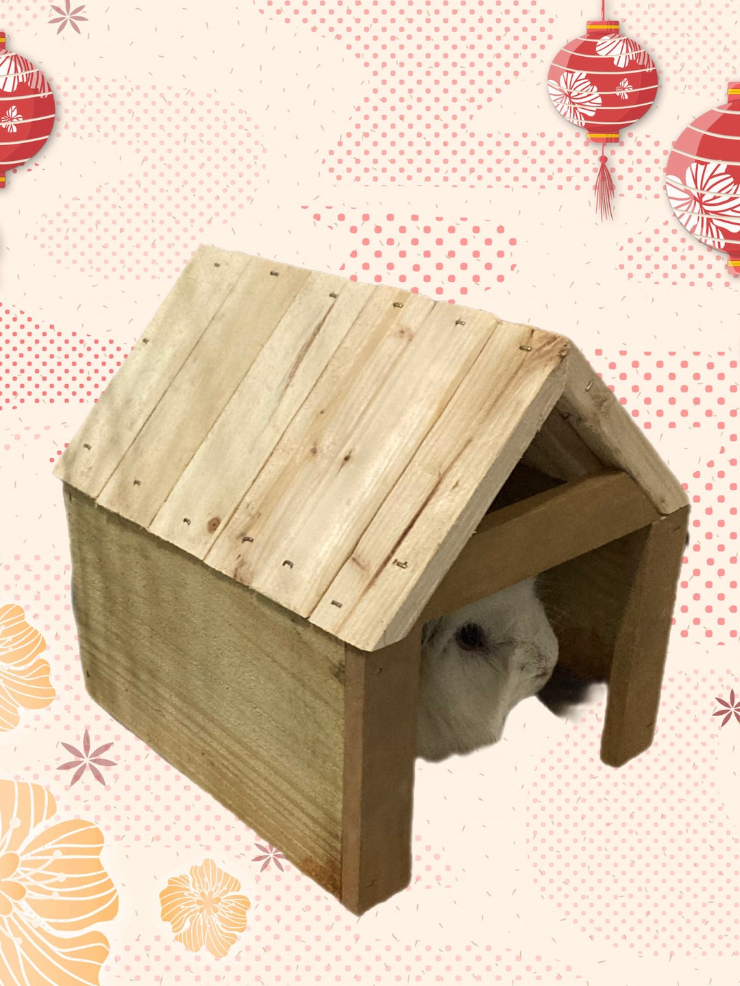 View of Guinea Pig Wood House - Etsy