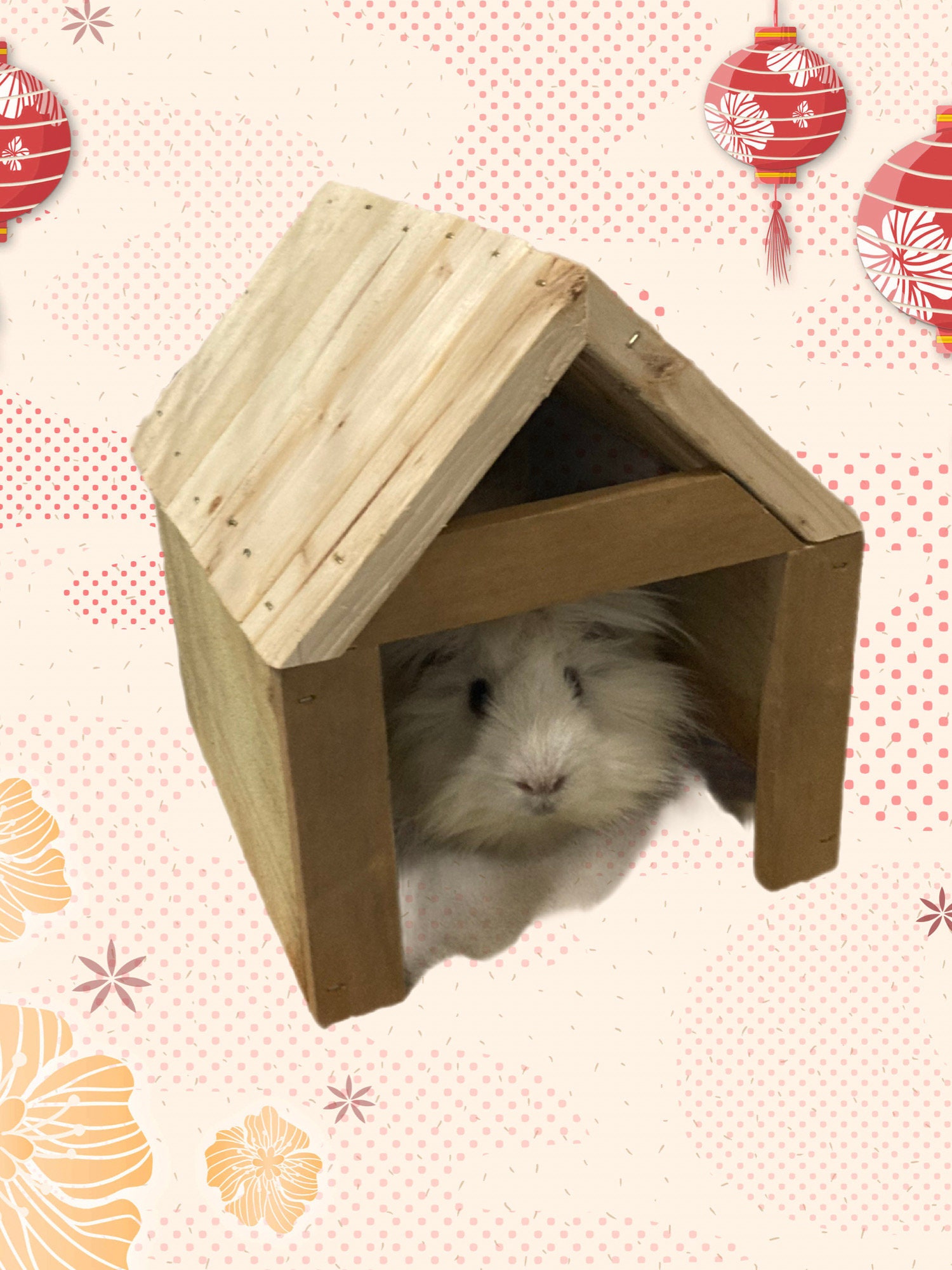 View of Guinea Pig Wood House - Etsy