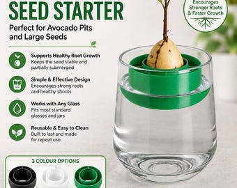 Avocado Seed Starter - Hydroponic Germination Boat