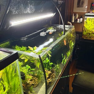 Fluval Flex 32.5 Gallon / 123 Liter Aquarium Lid Prop - Hands-Free Maintenance (Set of Two)