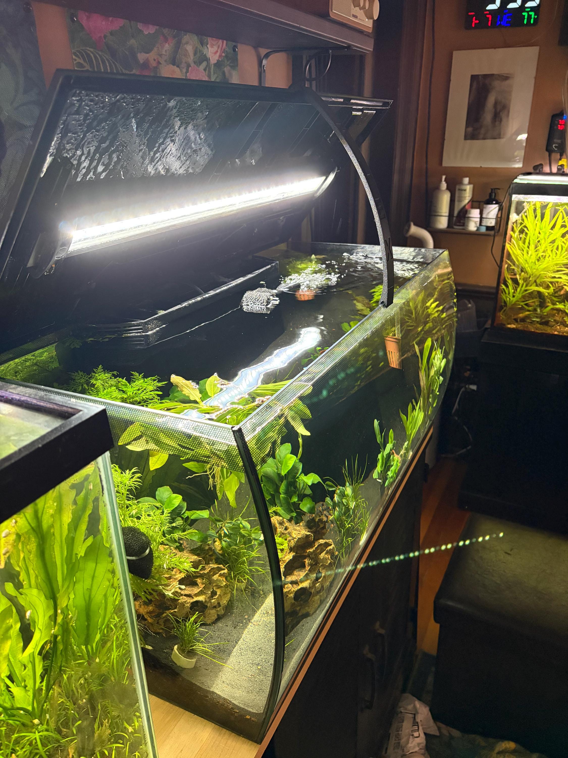 Fish Tank 5 Gallon - Etsy
