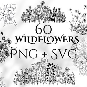 Pacote SVG de flores silvestres. Flores silvestres Svg, svg botânico, pacote de flores svg, flor silvestre svg, clipart de flores silvestres, flores silvestres png