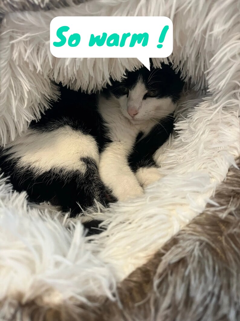 Plush Cat Bed Warm Cat Bed, Cute Cat Bed, Fluffy Cat Bed, Soft Cat Bed