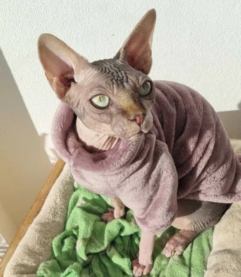 Sphynx Cat Jumper Sphynx Cat Clothes, Clothes for Cats, Clothes for