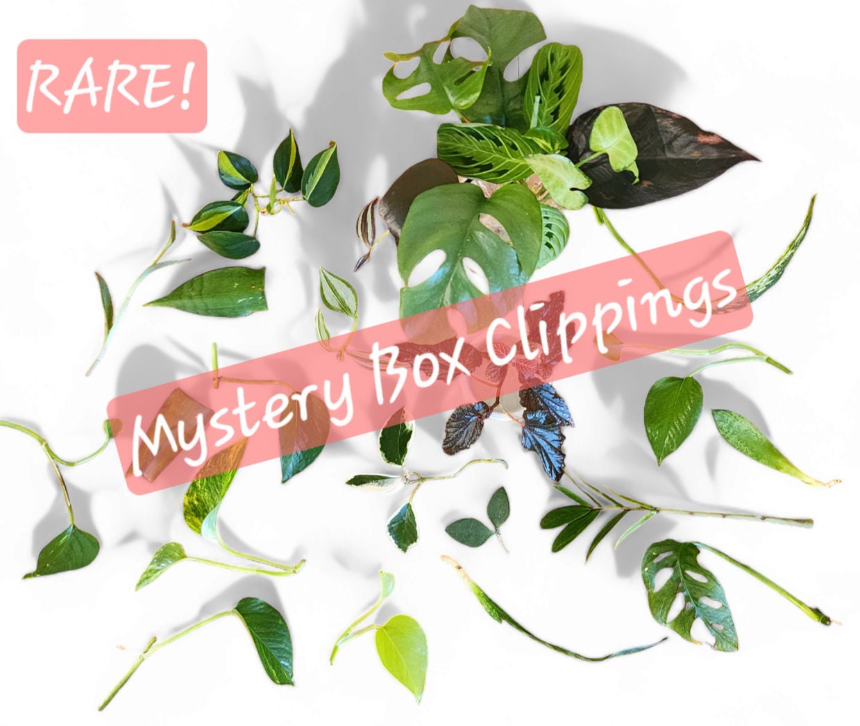 Floral Mystery Box
