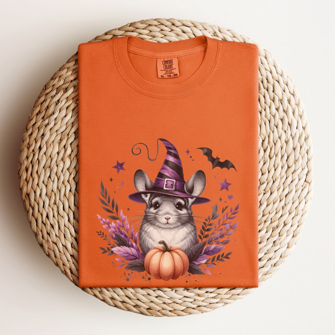 Chinchilla Pet Lover Ugly Christmas T-Shirt