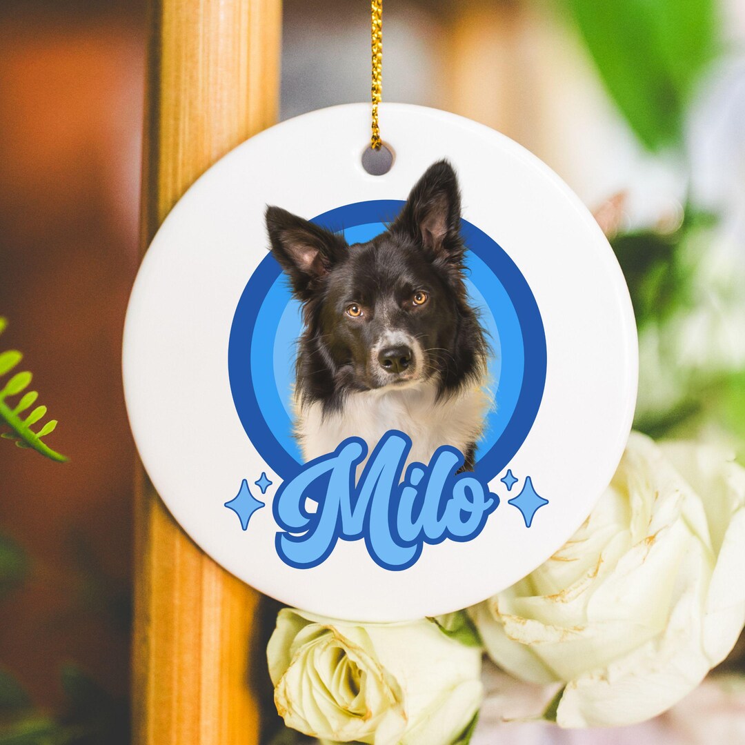 Personalized Pet Ornament Using Pet's Photo + Name, Custom Dog Photo ...