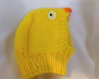 Baby chick hood