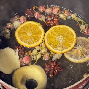 Può includere: Una pentola di liquido bollente con fette d'arancia, anice stellato, boccioli di rosa e altri elementi botanici. Le fette d'arancia sono arancioni brillanti e i boccioli di rosa sono rosa. Il liquido è scuro.