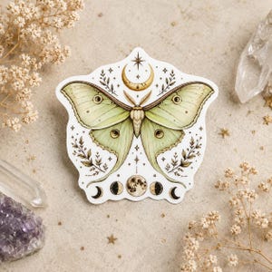 May include: A die-cut sticker featuring a pale green moth with intricate wing patterns. Above the moth is a golden crescent moon and star, while below are illustrations of moon phases including a full moon, all on a white background.