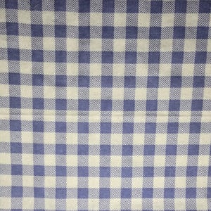 May include: A close-up of a fabric with a blue and white checkered pattern. The squares are evenly sized and arranged in a grid. The fabric has a slightly textured appearance, suggesting it might be cotton or linen.