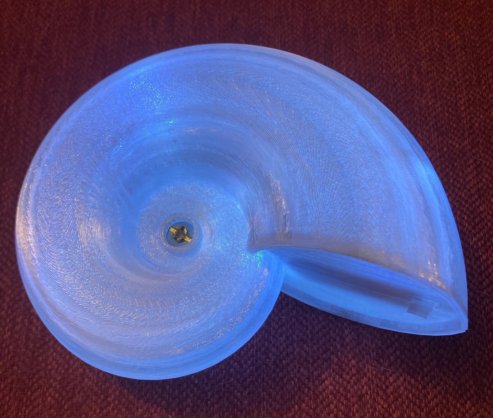 Light Shell Thing Large Magical Light up Shell - Etsy