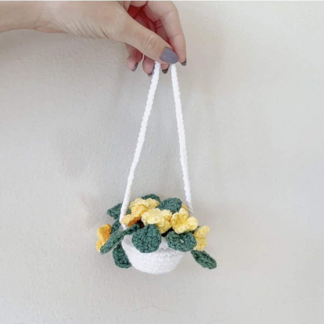 Mini Hanging Plant Crochet Pattern - Easy DIY PDF - Etsy