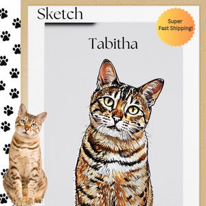 Pet Portrait Colorful Sketch Oil Painting Watercolor or Cartoon Pet Memorial Portrait from Photo Custom Personalized Gift Print or Digital