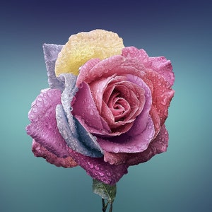 Krachtige liefdesbetovering (inclusief tarotkaartlezen)