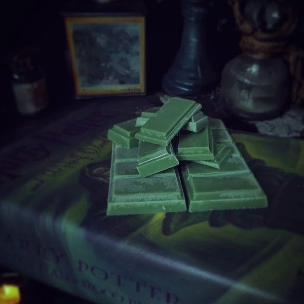 Slytherin Common Room Wax Melts • Harry Potter Fan Gift • Moody Aromatherapy Decor • Book-Inspired Home Fragrance