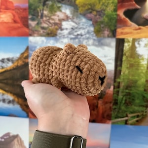 Crochet Baby Capybara