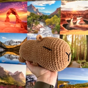 Crochet Momma Capybara