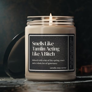 Tamlin's a Bitch Candle, Acotar fan gift, acomaf, A court of thorns and roses merch, Book Lover Candle Velaris Candle Book Lover Candle