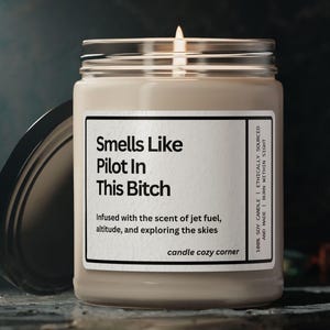 Pilot Wertschätzung Geschenk für Pilot Lustiges Dekor Pilot Geschenk zum Valentinstag Jahrestag Geburtstag Danke Geschenk Coworker Geschenkidee