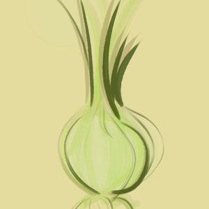 Onion Illustration
