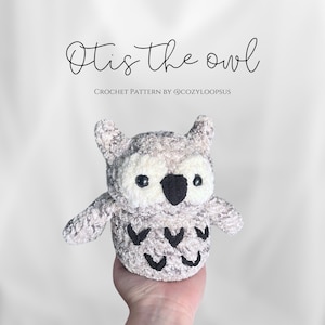 Otis The Owl Crochet Pattern, Crochet Owl Pattern, Amigurumi Owl, Fall Crochet Patterns, Owl Plushies, DIY Owl Toy, DIGITAL DOWNLOAD