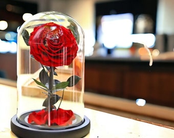 Preserved Rose in Glass Dome, Rose In Glass Casing, Eternal Preserved Rose, Forever Rose In Glass Dome