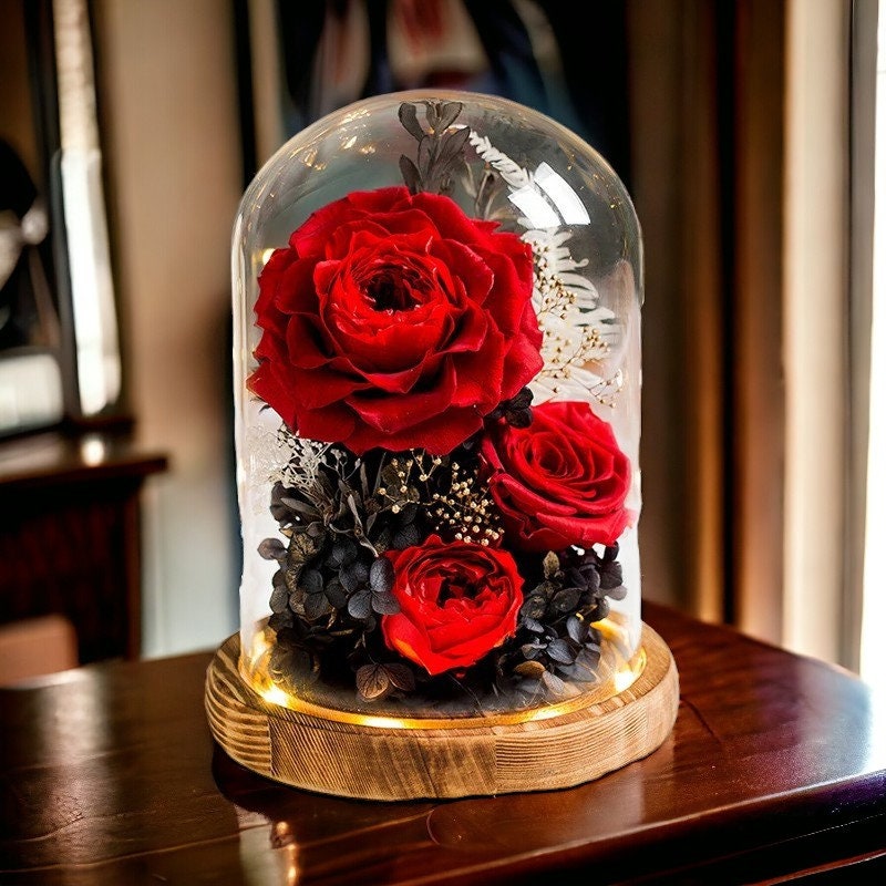 Forever Rose in Glass Etsy UK