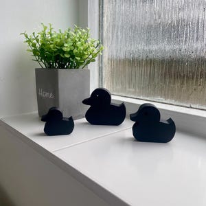 Op de afbeelding: Drie matzwarte eendenbeeldjes van verschillende groottes op een rij. Daarnaast staat een vierkante grijze plantenbak met het woord Home in het wit gedrukt, met daarin een kleine groene kunstplant met talrijke afgeronde blaadjes en stengels.