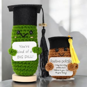 Graduation Positive Pickle and Potato. Handmade Toy, Emotional Support Message. Motivation for Graduates. Funny Gift Crochets. College Decor