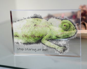 Custom Chameleon Portrait Acrylic Block, Custom Watercolour Reptile Art, Lizard Photo Gift, Custom Pet Lover Gift, Bearded Dragon Art Print