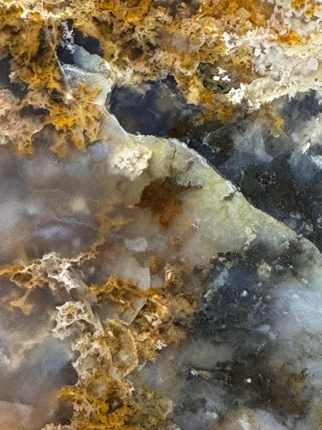 Plume Agate Polished Display Specimen - Etsy