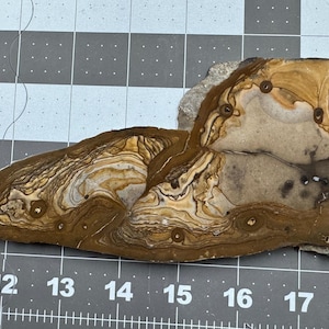 Biggs Blue Picture Jasper polished piece