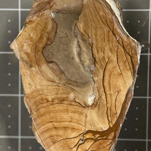 Biggs Picture Jasper display piece