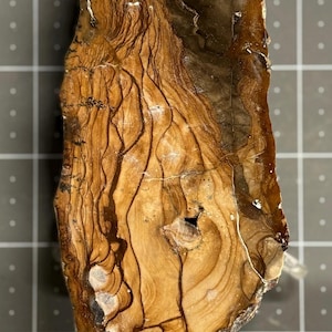 Biggs Picture Jasper display piece