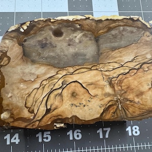Biggs Blue Picture Jasper polished piece