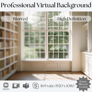Virtual Bookshelf Background | Large Window with Natural Light | Zoom, Teams, Skype | Video Call Backdrop