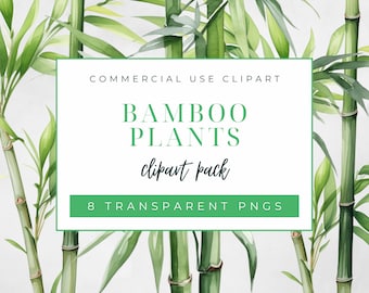 Bamboo Plants Clipart Pack, Commercial Use Clipart, Transparent PNGs, Watercolor Bamboo Shoots Clipart, Tropical Leafy Plants Graphics