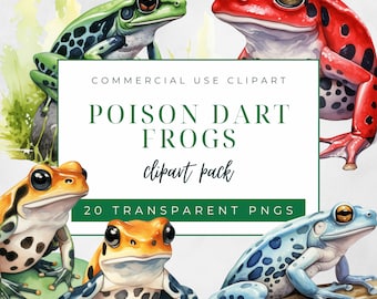 Poison Dart Frog Clipart Pack, Commercial Use Clipart, Transparent PNGs, Watercolor Frog Clipart, Mossy Rocks Graphics, Colorful Amphibian