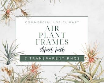 Tillandsia Air Plant Frames Clipart Pack, Commercial Use Clipart, Transparent PNGs, Tropical Plant Frames, House Plants Clipart, Watercolor