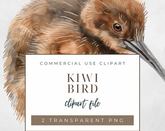 New Zealand Kiwi Bird Clipart, Commercial Use Clipart, Transparent PNG, Small Cute Tiny Flightless Bird, Watercolor Style, Graphic for Cards