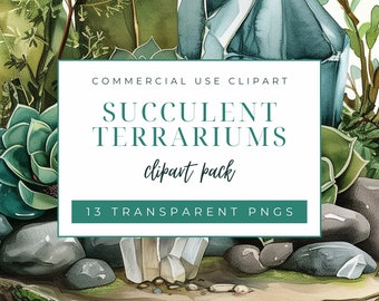 Succulent Terrarium Clipart Pack, Commercial Use Clipart, Transparent PNG, Snake Plants, Moss, Fern Plants Clipart, Watercolor, Mini Garden