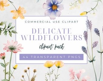 Delicate Wildflowers Clipart Pack, Commercial Use Clipart, Transparent PNGs, Watercolor Botanical Wild Flowers Clipart, Floral Arrangements