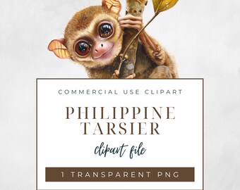 Philippine Tarsier Monkey Clipart, Commercial Use Clipart, Transparent PNG, Small Cute Tiny Primate Clipart, Kawaii Style, Graphic for Cards