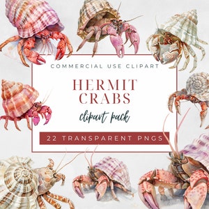 Puede incluir: Paquete de clipart de acuarela de 22 cangrejos ermitaños en varias poses y conchas. Los cangrejos están pintados en tonos de rosa, rojo, marrón y blanco. El texto "COMMERCIAL USE CLIPART HERMIT CRABS clipart pack 22 TRANSPARENT PNGS" se muestra sobre un fondo blanco.