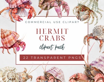 Heremietkreeft clipart pack, commercieel gebruik clipart, transparante PNGs, aquarel krab, zeeschelpen graphics, oceaan dier, schaaldieren afbeelding