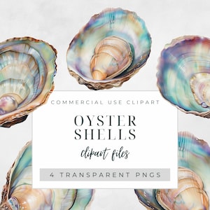 May include: Four iridescent oyster shells with a pearly sheen. The shells are arranged in a circular pattern on a white background. The text "COMMERCIAL USE CLIPART OYSTER SHELLS clipart files 4 TRANSPARENT PNGS" is displayed in a white rectangle.