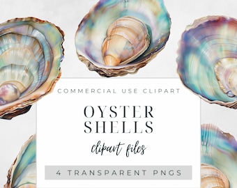 Oyster Shells Clipart Pack, Commercieel Gebruik Clipart, Transparante PNGs, Aquarel Oyster Shells, Parelmoer Graphics, Sea Shell Design