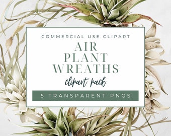 Tillandsia Air Plant Wreaths Clipart Pack, Commercial Use Clipart, Transparent PNGs, Tropical Plant Wreath, House Plants Clipart, Watercolor