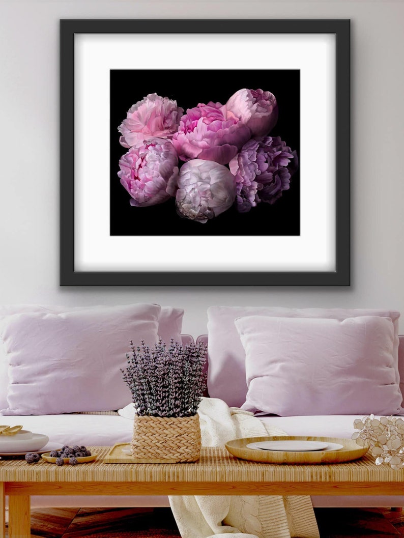 May include: A framed print of a bouquet of pink and purple peonies against a black background.